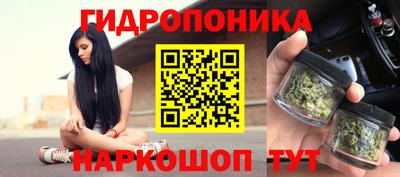 эйфоретик Можга
