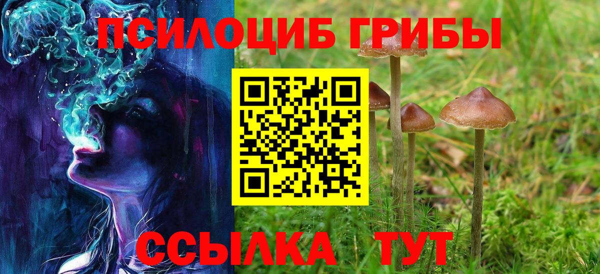 Псилоцибиновые грибы ЛСД  Галлюциногенные грибы прущие грибы  Вход с VPN  Свободный 