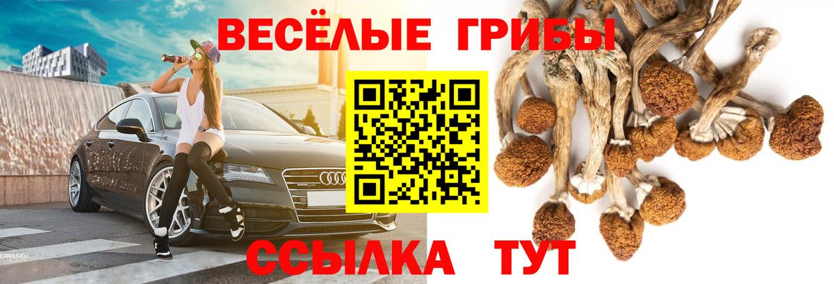 Галлюциногенные грибы MAGIC MUSHROOMS Свободный